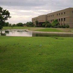 Guitar - See Sea, Bee And Me