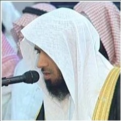 تلاوة للقارئ ماجد الزامل