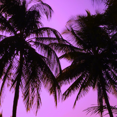 KOKOMO (Beach boys' cover) by PAUL WINSLOW
