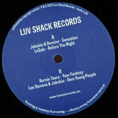 Disco Loop Mood