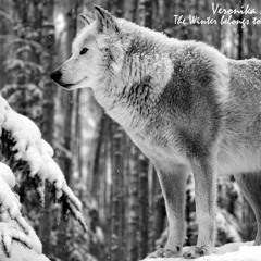 Veronika Nikolic - The Winter belongs to the Wolves//FREE DOWNLOAD