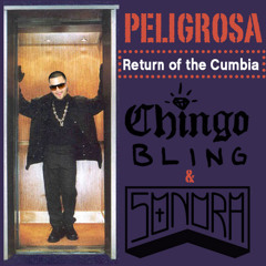 Sonora ft Chingo Bling - Return Of The Cumbia