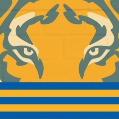 All In por mis Tigueres