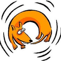 Chasing Our Tails (In Memory of The End Of The World 12-21-12)