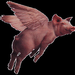 Swine Flew ft. Acksiz