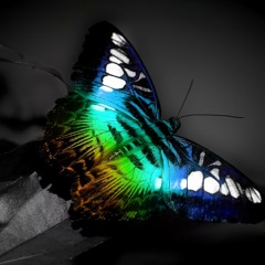 VOGUE • All About The Butterfly