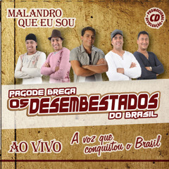 15 - IRREVERÊNCIA / RAINHA DO VAQUEIRO / MULHER INGRATA E FINGIDA