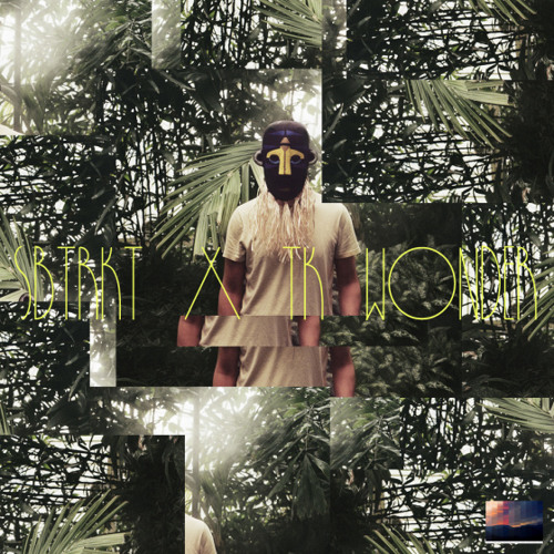 SBTRKT x TK Wonder