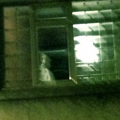 EwokieTalkie -Down the Hall [ghost demos]