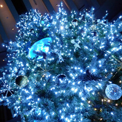 白い恋人達 / 桑田佳祐 (White love by Keisuke Kuwata) (played by classic guitar)