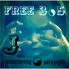 FREE 305