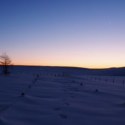 Winter Time Lapse 2009 Theme