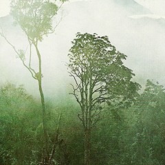 Apaturia - Hominidæ & Tsaik