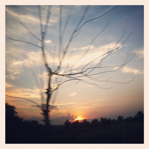 My Song 7.1