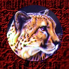 ANGEL - The Cycle Of Completion