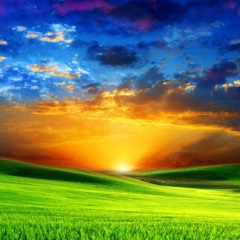 Subsonic Music Festival - Kimba Sunrise Set - 8 Dec 2012