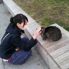 samuihinouta-takezawamigiwa