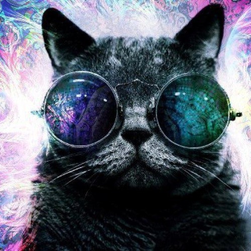 Vibe Tribe - In Core