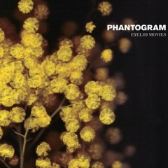 Phantogram - You are the Ocean, and I am Good at Drowning (melogold purple re-fix)