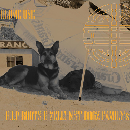 IVAN LE TERRIBLE - R.I.P ROOTS & ZELIA MST DOGZ - MST SOUND SYSTEM