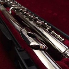 174 - Vós na verdade chorareis