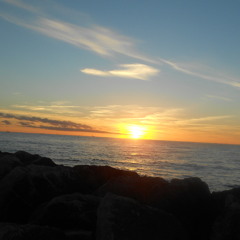 Clarity  de Zedd ft Foxes (Aylen Remix)