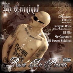 Mr Criminal - Hi Power 4 Life