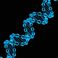 Zhongyu - The Shellfish Gene (Demo 1)