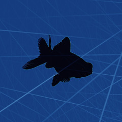 Encaved - Black Goldfish