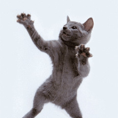 Ayolah Hidup ini Indah!