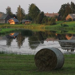 Ligodams lietins lija