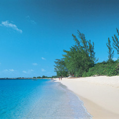 Sonic Palms vs Tim Berg - Seek Bromance On The Beach (Arnay Mix)