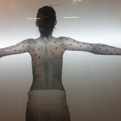 Audio Racket - Ray of light