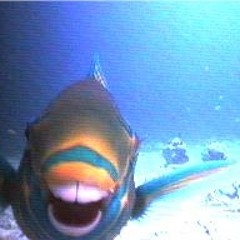 Happy Man - Sparklehorse - Instrumental Uke cover