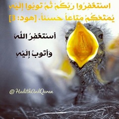 الاذان بصوت عامر الكاظمي _ شيعة