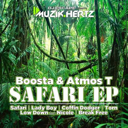 Boosta & Atmos T - Low Down Ft: Nicole