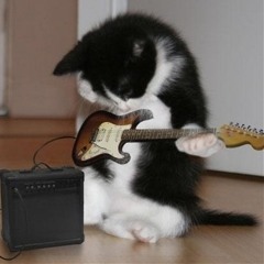 rock on