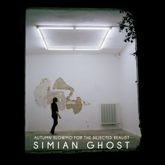 Autumn Slowmo EP