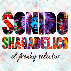 Sonido Shagadelico