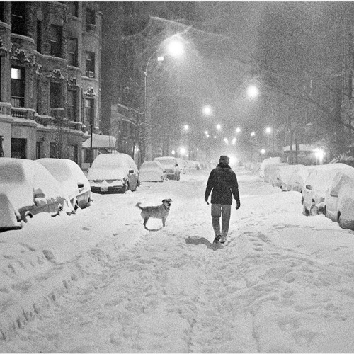 Notize - Blizzard