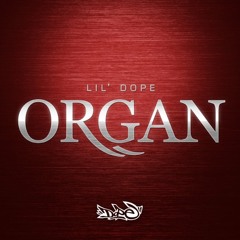 Lil' Dope: Organ Vol.1 (chords, loops + MIDI)