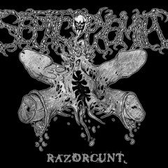 Razorсunt (single 2012)