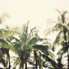 Summerish