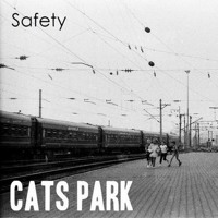 Cats Park - Safety