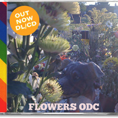 Flowers ODC - FODC - Horses