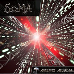 Soma & Shakta - Up Up (Amanita Muscaria 2003)