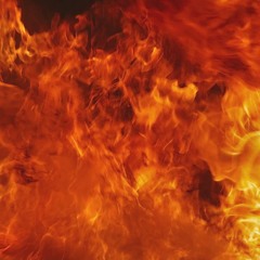 7 Nation Army + Jingle Bells (Attempt) Acoustic