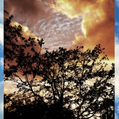 Ferry Corsten - Not Coming Down Feat. Betsie Larkin (Skywalker Remix)