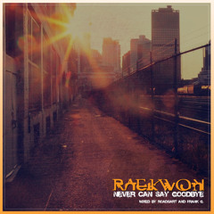 Raekwon- Never Can Say Goodbye