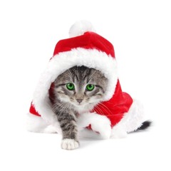 Like a star falling to the ground (X-Mas | Mix 2012)